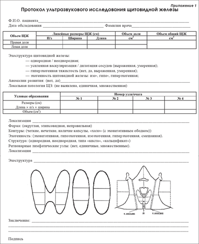 Протокол ультразвукового. Протокол ультразвукового исследования щитовидной железы. Образец протокола ультразвукового исследования щитовидной железы. УЗИ щитовидной железы протокол исследования бланк. УЗИ щитовидной железы протокол заключения.